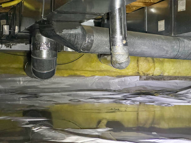 Best Professional water damage repair  in Franklin, TX