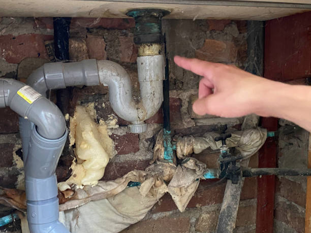 Best Water damage cleanup near me  in Franklin, TX