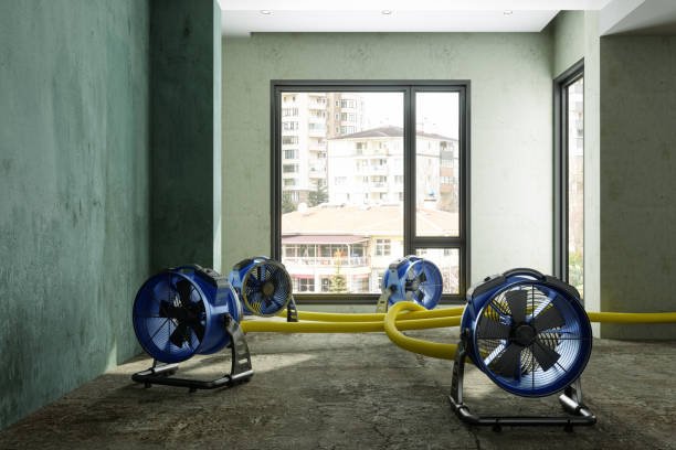 Best Water damage contractors near me  in Franklin, TX